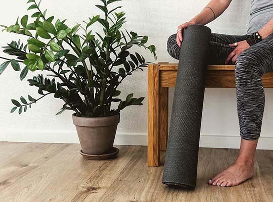 Vinyasa